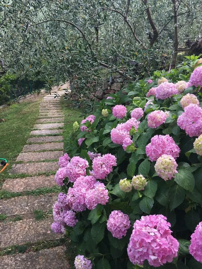 Appartement Casa Giordana à Torri Del Benaco